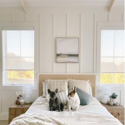 cortinas roller screen abcdecor